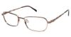 Picture of Aristar Eyeglasses AR 16333