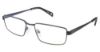Picture of Champion Eyeglasses 1017