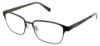 Picture of Steve Madden Eyeglasses RIVAAL