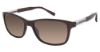 Picture of Awear Sunglasses CC 3714