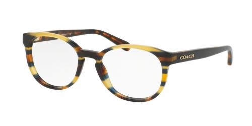 Picture of Coach Eyeglasses HC6102
