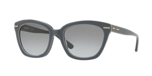 Picture of Dkny Sunglasses DY4142