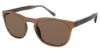 Picture of Awear Sunglasses CC 3716