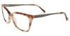 Picture of Lucky Brand Eyeglasses D208