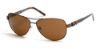 Picture of Harley Davidson Sunglasses HD0304X