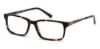 Picture of Skechers Eyeglasses SE1141