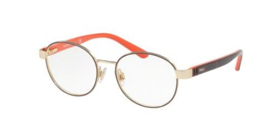 Picture of Polo Eyeglasses PP8038