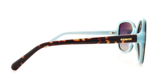 Picture of Polaroid Premium Sunglasses X 8404/S