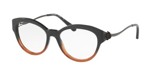 Picture of Coach Eyeglasses HC6093