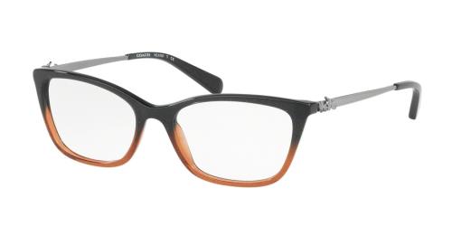 Picture of Coach Eyeglasses HC6107