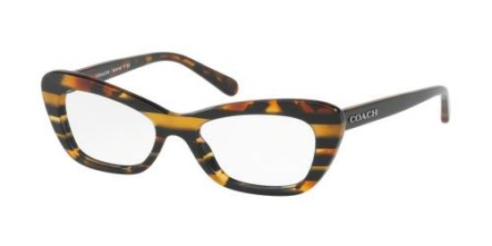 Picture of Coach Eyeglasses HC6108