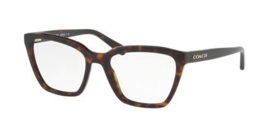 Picture of Coach Eyeglasses HC6109F