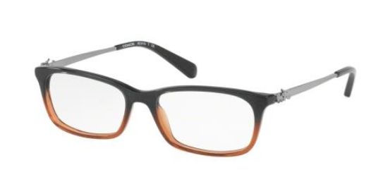 Picture of Coach Eyeglasses HC6110F