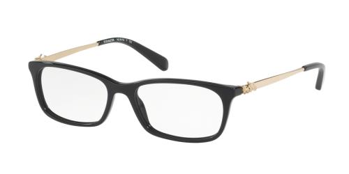 Picture of Coach Eyeglasses HC6110F