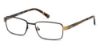 Picture of Skechers Eyeglasses SE1147