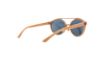 Picture of Tory Burch Sunglasses TY9048