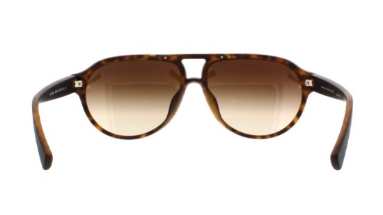 Picture of Armani Exchange Sunglasses AX4042SF