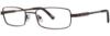 Picture of Timex Eyeglasses T251