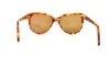 Picture of Versace Sunglasses VE4246B