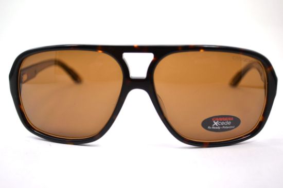Picture of Carrera Xcede Sunglasses 7011/S