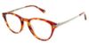 Picture of Sperry Eyeglasses PIERSIDE
