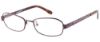Picture of Guess By Marciano Eyeglasses GM 139