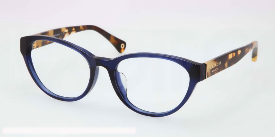 Picture of Coach Eyeglasses HC6039F