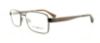 Picture of Emporio Armani Eyeglasses EA1021