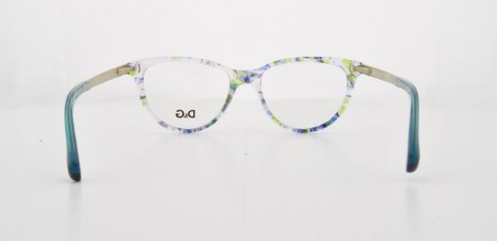 Picture of D&G Eyeglasses DD1213
