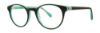 Picture of Lilly Pulitzer Eyeglasses CARLTON