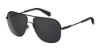 Picture of Polaroid Core Sunglasses PLD 2055/S