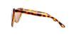 Picture of Tom Ford Sunglasses FT0173