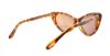 Picture of Tom Ford Sunglasses FT0173
