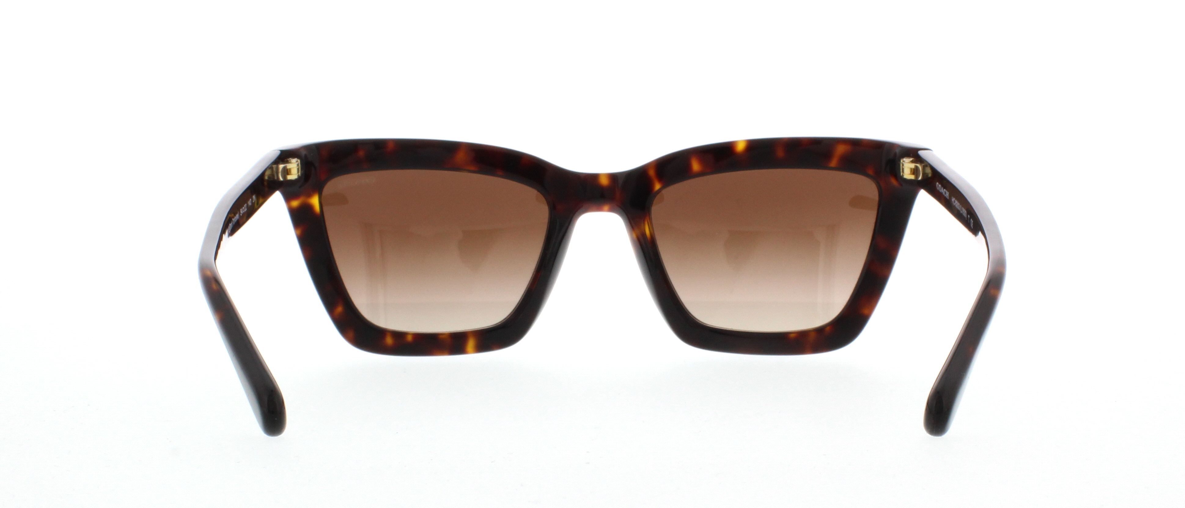Designer Frames Outlet. Coach Sunglasses HC8203 L1630