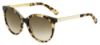 Picture of Kate Spade Sunglasses AMAYA/S