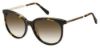 Picture of Fossil Sunglasses 3064/S
