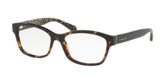 Picture of Coach Eyeglasses HC6116F