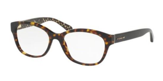 Picture of Coach Eyeglasses HC6117