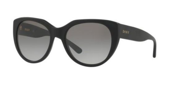 Picture of Dkny Sunglasses DY4149