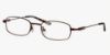 Picture of Polo Eyeglasses PP8021