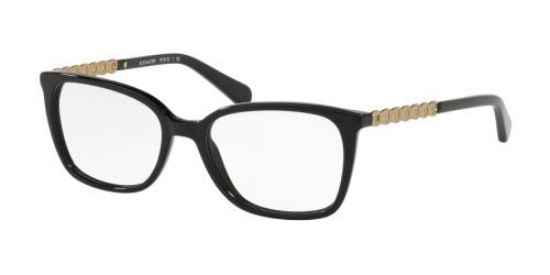 Picture of Coach Eyeglasses HC6122F