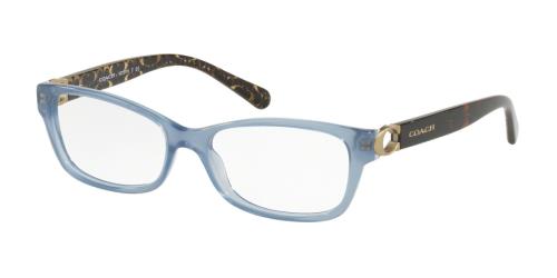 Picture of Coach Eyeglasses HC6119F
