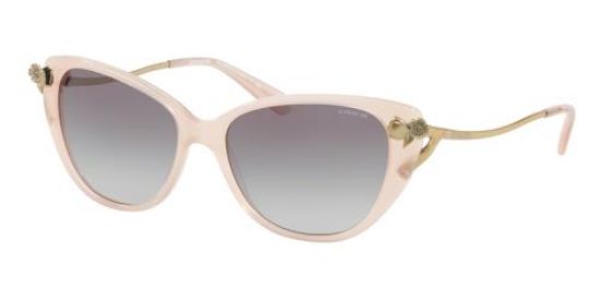 Picture of Coach Sunglasses HC8242BF