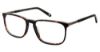 Picture of Champion Eyeglasses 2023