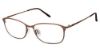 Picture of Charmant Eyeglasses TI 12153