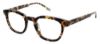 Picture of Izod Eyeglasses 2040