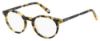 Picture of Fossil Eyeglasses FOS 6090