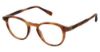 Picture of Canali Eyeglasses 315