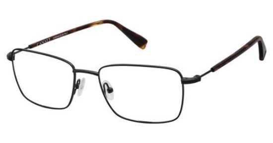 Picture of Canali Eyeglasses 301