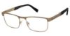 Picture of Canali Eyeglasses 308